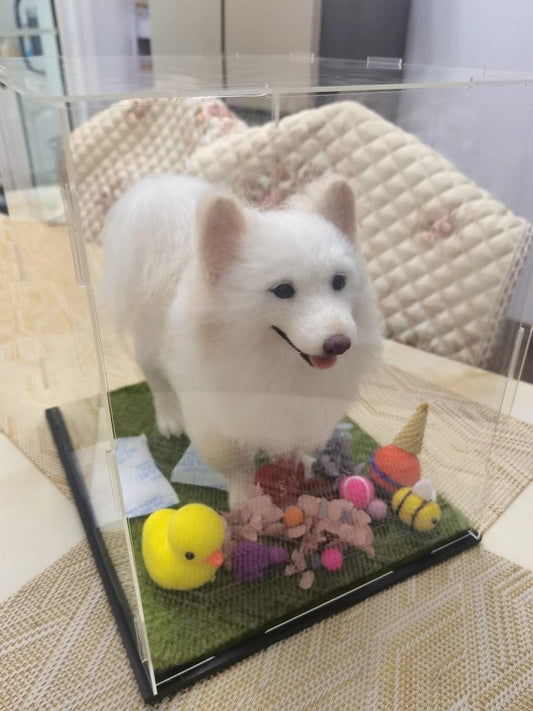 Care Instruction of Wool felt pet