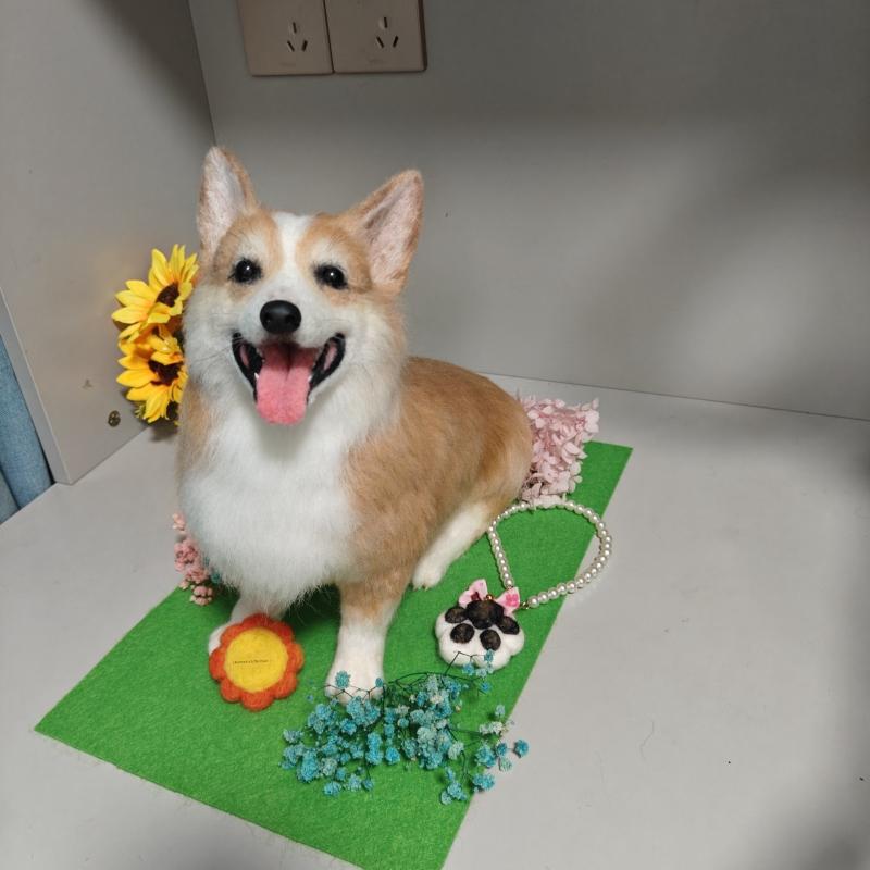 Memorpaw Wool Felt Pet Customization