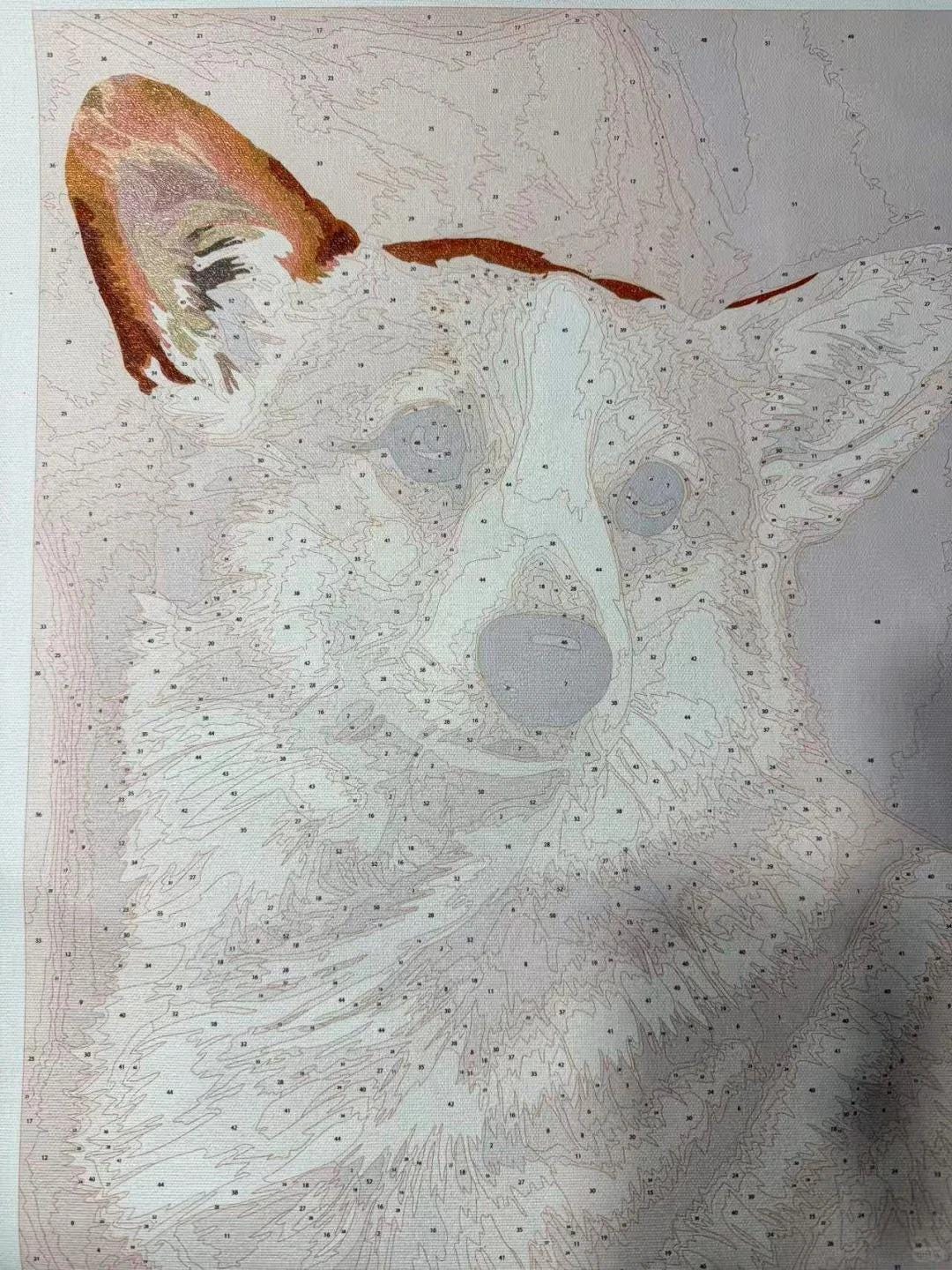Memorpaw Custom Pet Portrait DIY Oil Painting Paint by Numbers