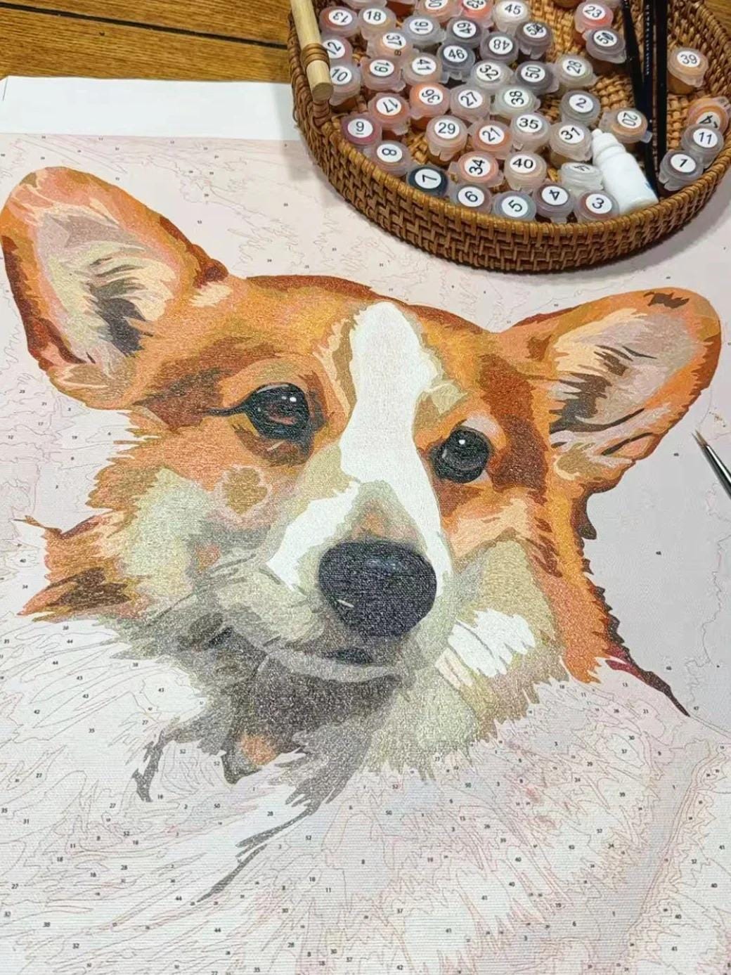Memorpaw Custom Pet Portrait DIY Oil Painting Paint by Numbers