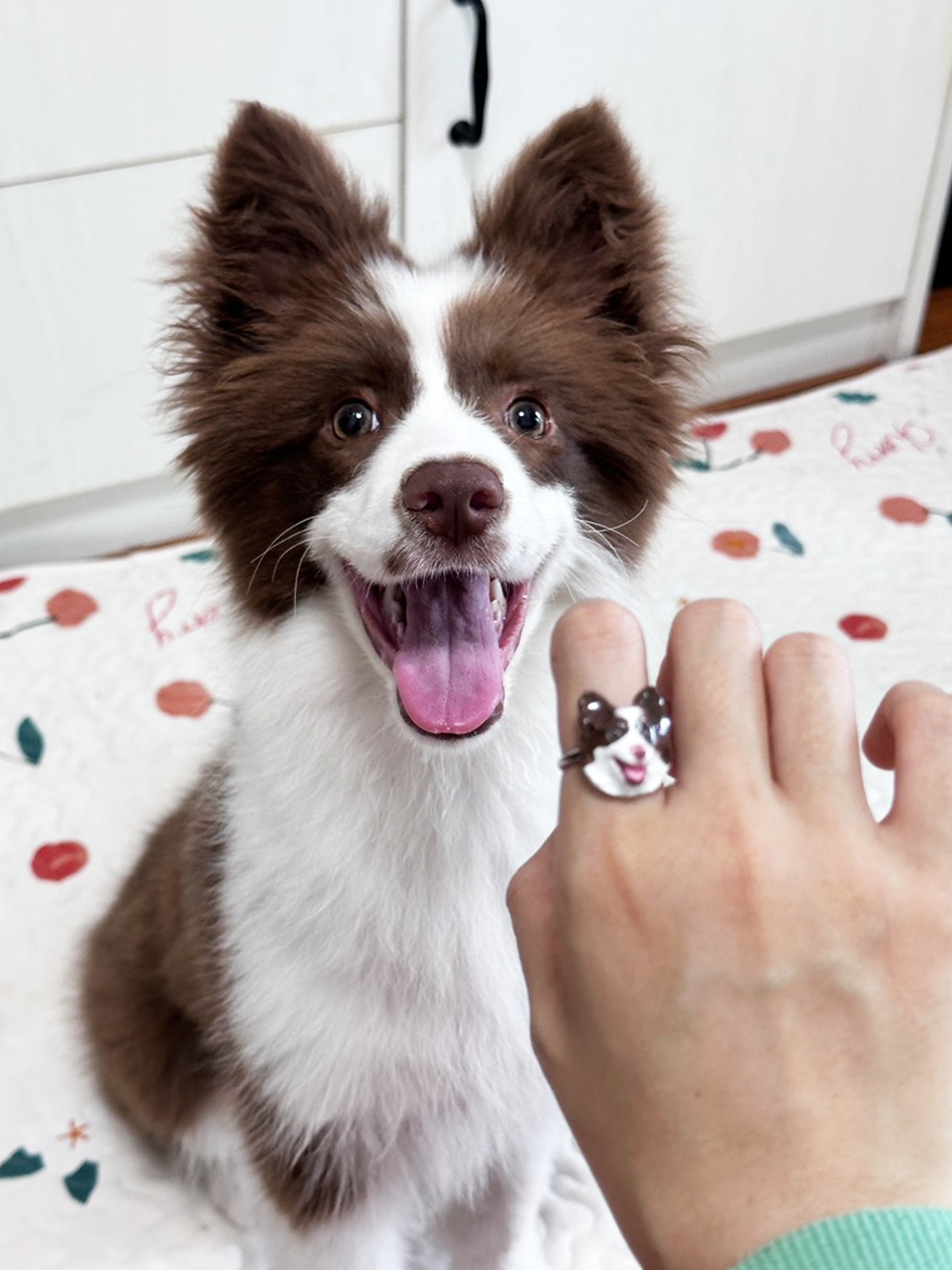 Memorpaw Customized Soft Ceramic Pet Portrait Necklace Ring Brooch Keychain