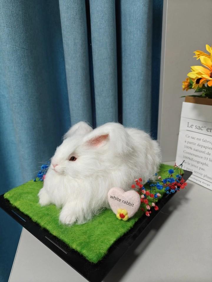Memorpaw Wool Felt Pet Customization
