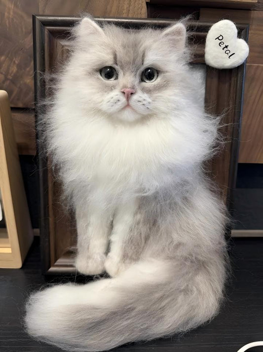 Meaningful Gift Ideas for Pet Lovers (That Actually Make Them Cry)