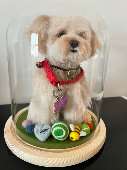 Care Instruction of Wool felt pet