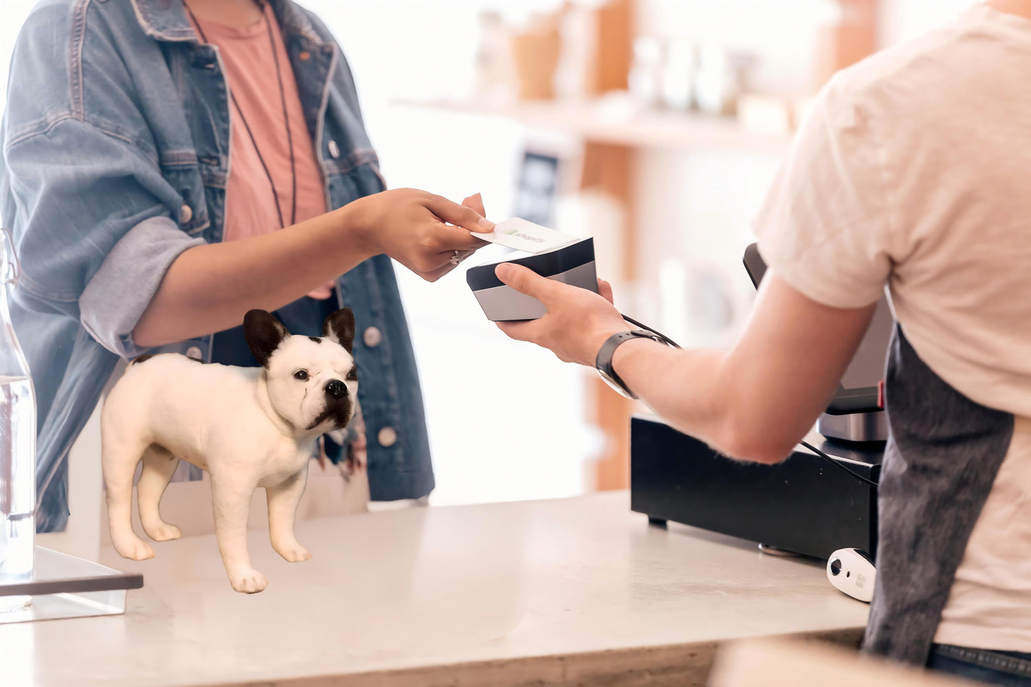 Memorpaw art works extended warranty