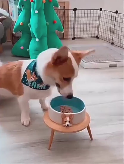 Memorpaw Pet Custom Ceramic Handmade Slow Food Water Bowl 