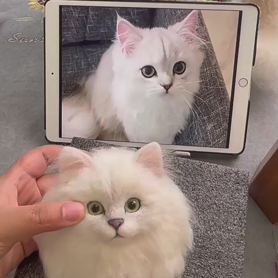 Memorpaw 3D Felt Wool Pet Portrait