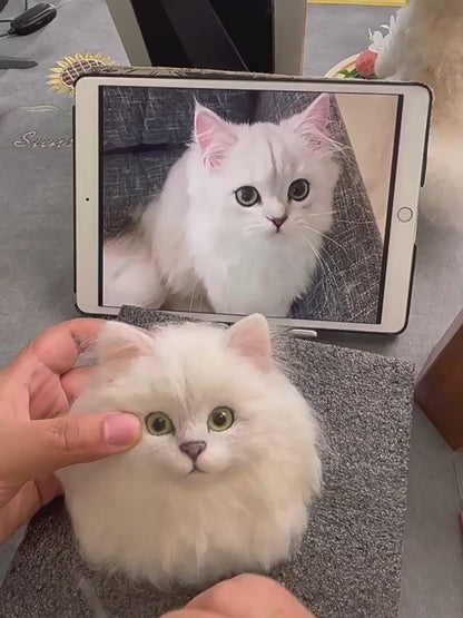 Memorpaw 3D Felt Wool Pet Portrait